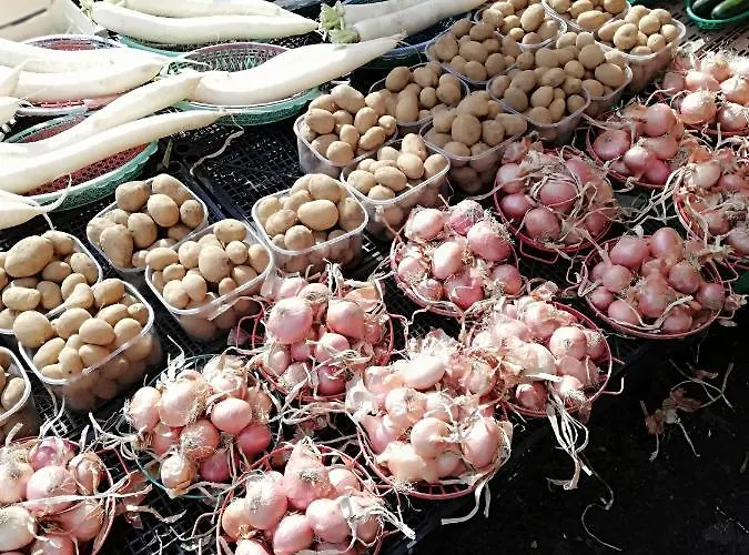 Colibri' - Boutique *